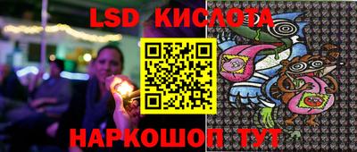 apvp Нальчик