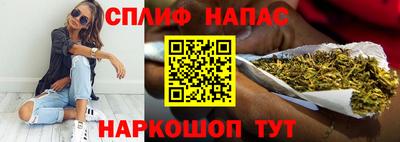 apvp Нальчик