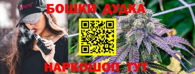apvp Нальчик