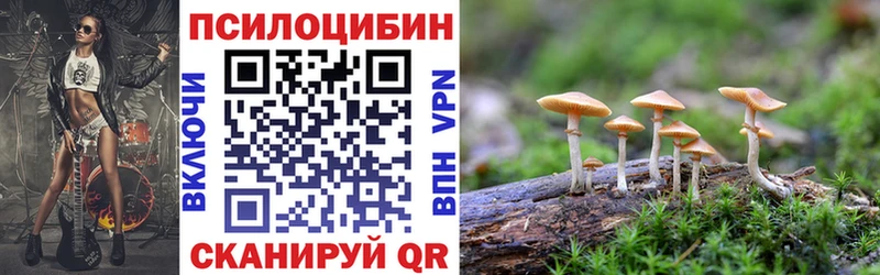 Галлюциногенные грибы MAGIC MUSHROOMS  купить наркотики цена  ссылка на мегу ТОР  Евпатория 